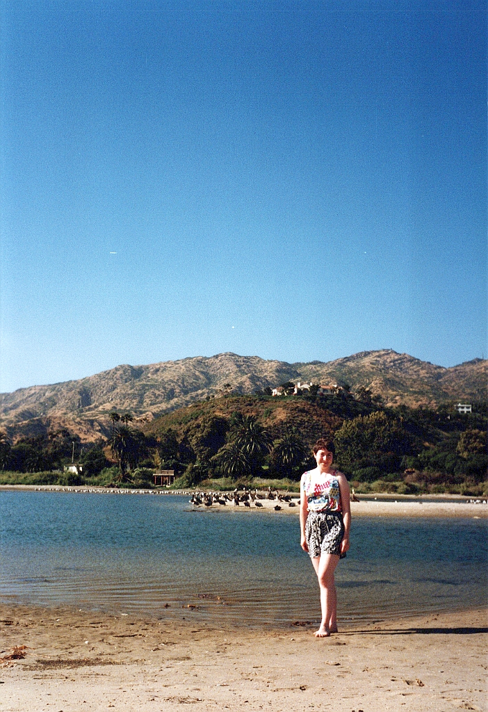 1997 - USA 019 (A côté de Malibu, CA - Pélicans).jpg